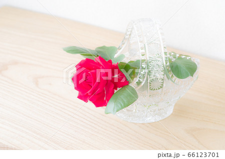 バラのフラワーアレンジメント バラのフラワーアレンジメント 66123701