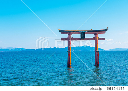 滋賀県白鬚(白髭)神社の大鳥居 滋賀県白鬚(白髭)神社の大鳥居 66124155