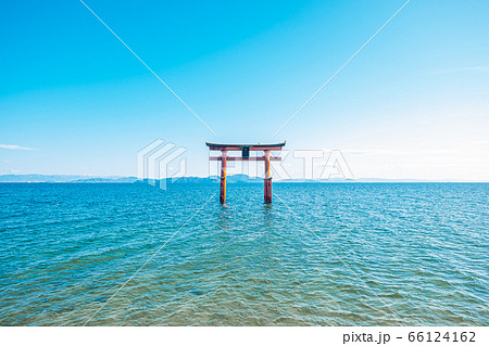 滋賀県白鬚(白髭)神社の大鳥居 滋賀県白鬚(白髭)神社の大鳥居 66124162