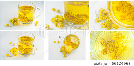 Collage photos, helichrysum yellow flowers medicinal plant Collage photos, helichrysum yellow flowers medicinal plant 66124963