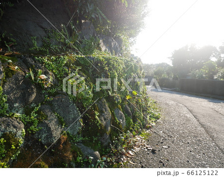 三宅島の路地 三宅島の路地 66125122