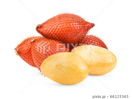 Fruit Salak with leaf isolated on white background Fruit Salak with leaf isolated on white background 66125565