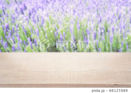 商品背景 ラベンダー畑と木目テーブル 商品背景 ラベンダー畑と木目テーブル 66125989