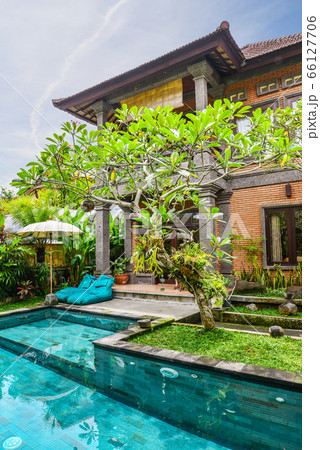 Garden on back yard with swimming pool 66127706