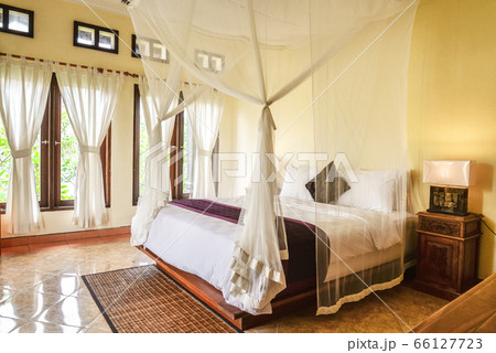 Cozy canopy bed in bedroom 66127723