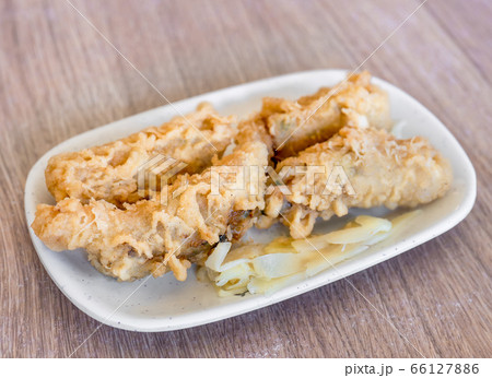 海老 エビ 蝦 66127886