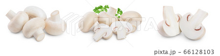 Fresh mushrooms champignon isolated on white background with clipping path and full depth of field. Set or collection Fresh mushrooms champignon isolated on white background with clipping path and full depth of field. Set or collection 66128103