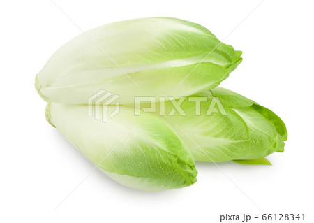 Chicory salad isolated on white background with clipping path and full depth of field. Chicory salad isolated on white background with clipping path and full depth of field. 66128341