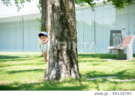木に隠れる可愛い男の子 66128784