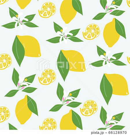 手描きのレモンと花と葉の背景のイラスト素材