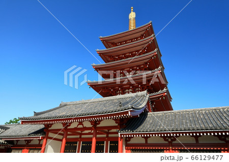 東京都 浅草寺の五重塔 東京都 浅草寺の五重塔 66129477
