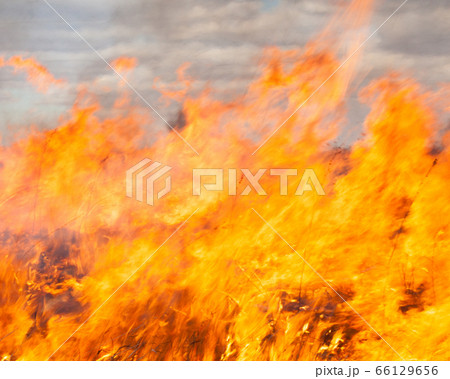 Big fire in the field Big fire in the field 66129656