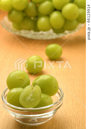 シャインマスカット 66129914