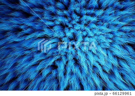 3D Render of shaggy carpet with wool material for backgrounds texture, close up of soft attractive blue and fluffy.  66129961