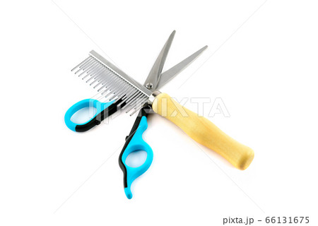 Scissors and stools for grooming dogs and cats Scissors and stools for grooming dogs and cats 66131675