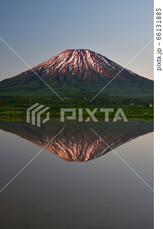 初夏の北海道倶知安町で残雪の羊蹄山と水田に映る逆さ羊蹄山の朝焼けの風景を撮影 初夏の北海道倶知安町で残雪の羊蹄山と水田に映る逆さ羊蹄山の朝焼けの風景を撮影 66131885