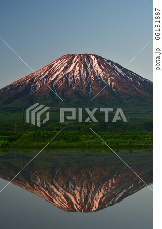 初夏の北海道倶知安町で残雪の羊蹄山と水田に映る逆さ羊蹄山の朝焼けの風景を撮影 66131887