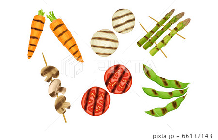 Grilled Skewered Vegetables and Mushrooms Isolated on White Background Vector Set Grilled Skewered Vegetables and Mushrooms Isolated on White Background Vector Set 66132143