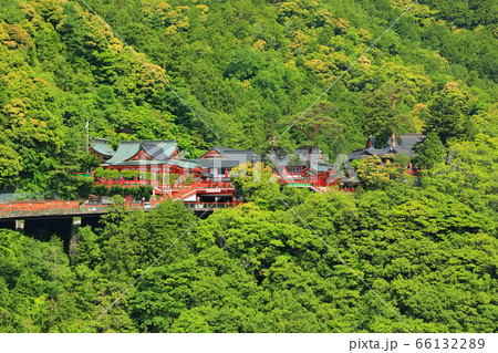 【島根県】晴天下の太皷谷稲成神社（津和野） 66132289
