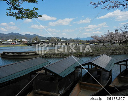 京都の桜の季節の渡月橋と大堰川 京都の桜の季節の渡月橋と大堰川 66133807