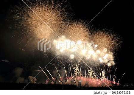 夏-花火大会-足立(千住)の花火【東京都足立区】 夏-花火大会-足立(千住)の花火【東京都足立区】 66134131