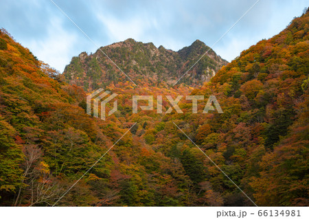 【2019年】西沢渓谷・鶏冠山 66134981