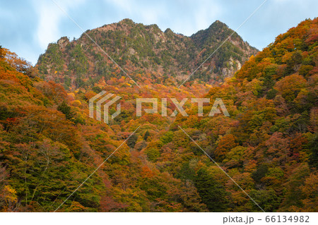 【2019年】西沢渓谷・鶏冠山 66134982