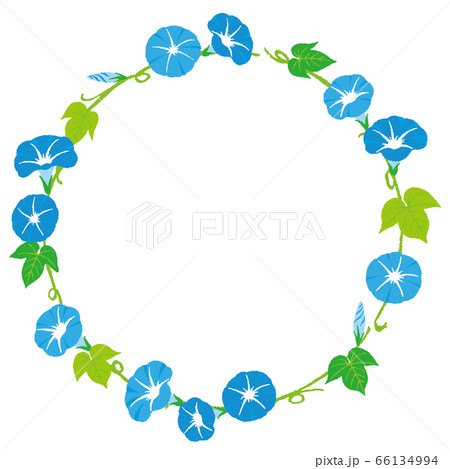 朝顔の丸い装飾 朝顔の丸い装飾 66134994