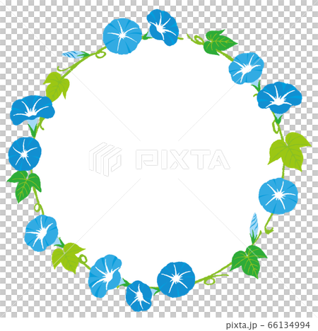 Rounded morning glory decoration Rounded morning glory decoration 66134994