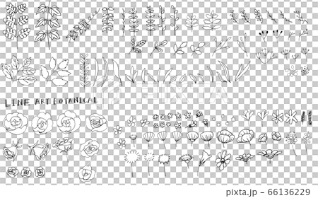 ラインアート　ボタニカル　1 66136229
