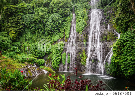 Banyumala twin waterfall in Bali, Indonesia. 66137601