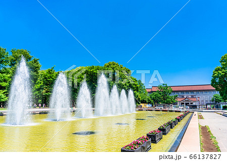 東京　上野公園　竹の台広場 66137827