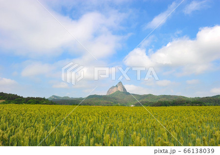 マイサン 鎮安郡 山 66138039
