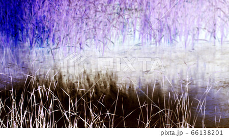 雑草 フル 池 66138201