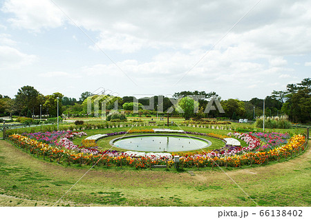 服部緑地 円形花壇の写真素材 服部緑地 円形花壇の写真素材