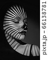 Fashion portrait 66138781