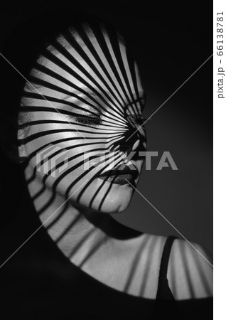 Fashion portrait 66138781
