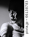 Fashion portrait 66138783
