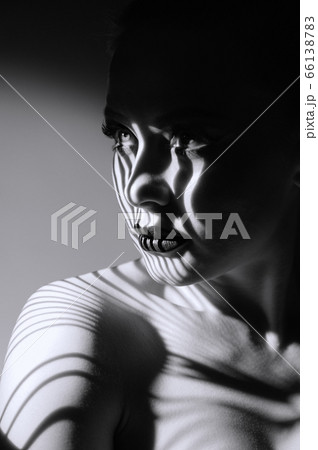 Fashion portrait Fashion portrait 66138783