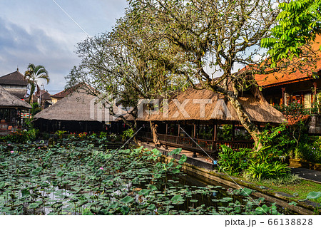 Empty cafe and pond with lotus 66138828