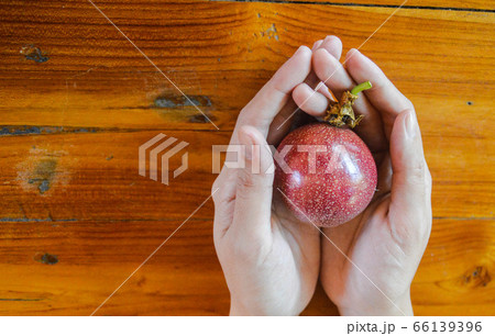 Conceptual photo of a female hand holding a passion fruit to show concept of veganism, sustainable lifestyle and clean living 66139396