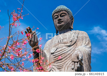 牛久大仏 春 牛久大仏 春 66140915