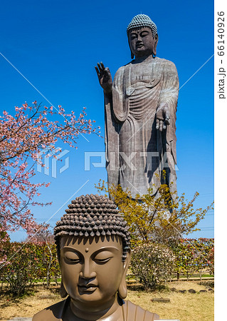 牛久大仏 66140926
