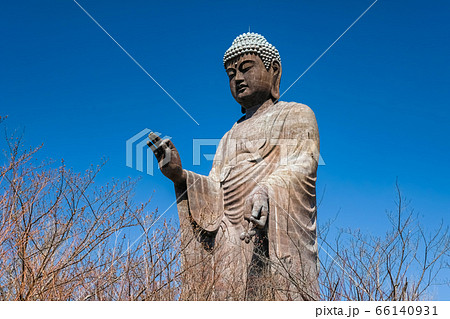 牛久大仏 牛久大仏 66140931