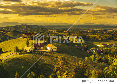 Sunset over South Styria vineyard landscape in 66144368