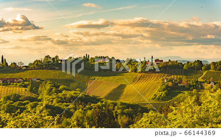 Sunset over South Styria vineyard landscape in 66144369