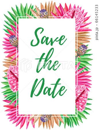 Tropical frame for Save the Date with sun palm Tropical frame for Save the Date with sun palm 66145233