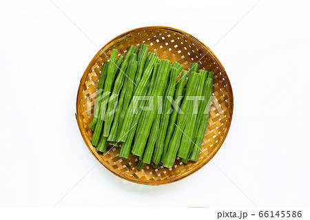 Moringa oleifera isolated on white Moringa oleifera isolated on white 66145586