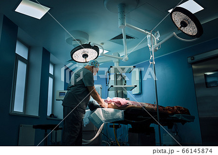 An anesthetist prepares a patient for surgery. Team of surgeons at work in the operating room. An anesthetist prepares a patient for surgery. Team of surgeons at work in the operating room. 66145874