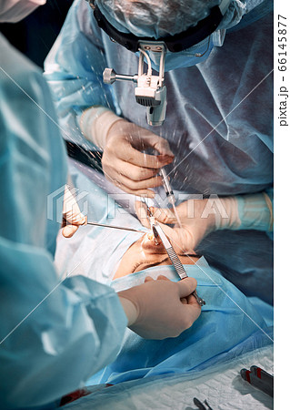 Surgeon wearing gloves operates women's nose. Operation close up. Surgeon wearing gloves operates women's nose. Operation close up. 66145877